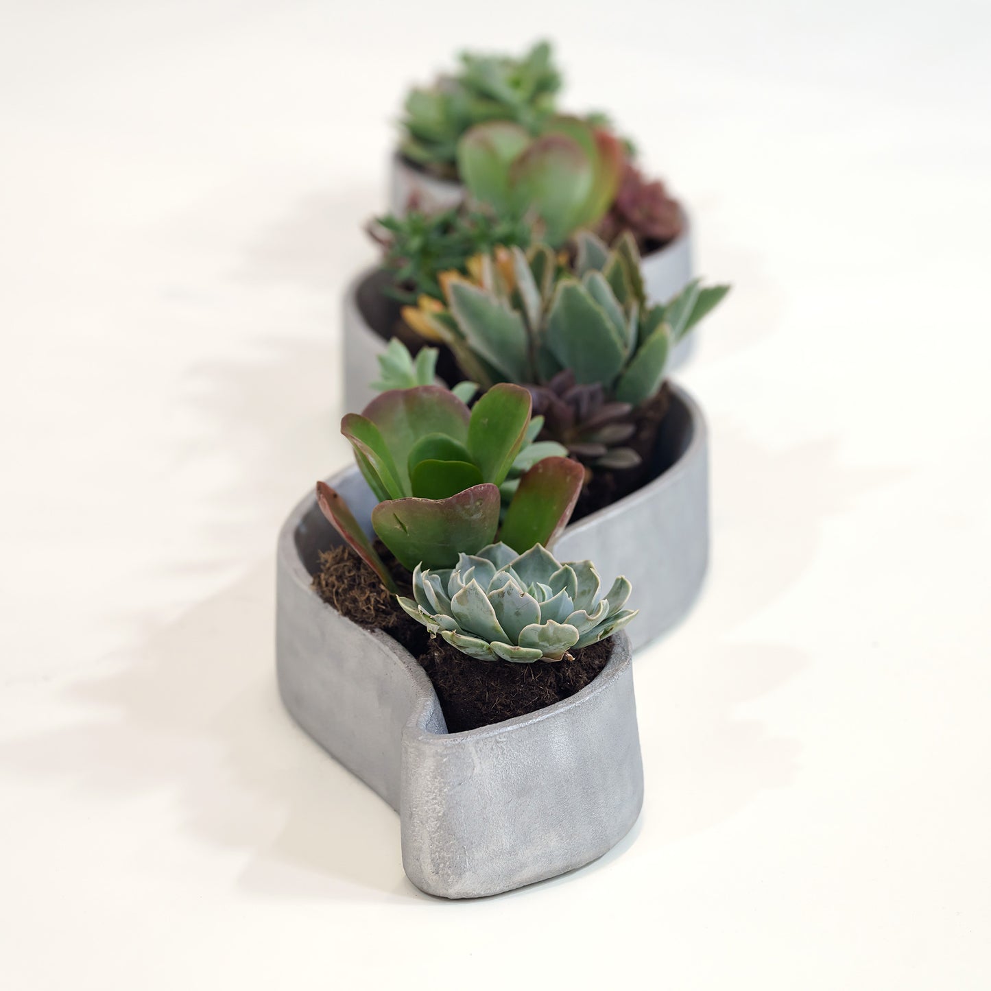 Wave Planter